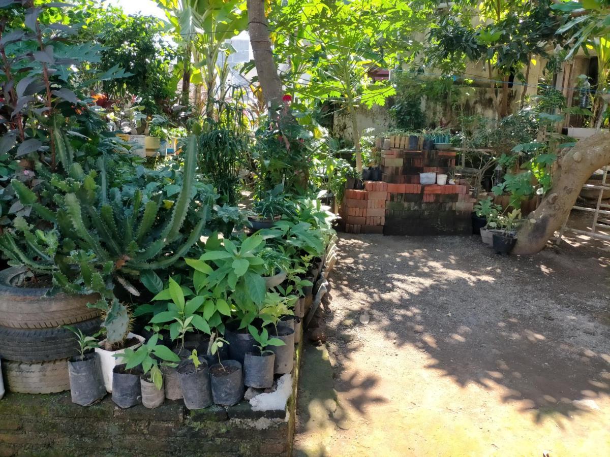 Cheap Inn Banyuwangi Бануванги Екстериор снимка